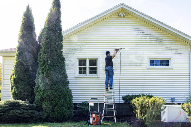 Best Roof Washing  in Williamsburg, PA