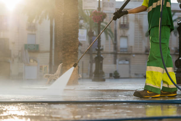 Best Driveway Pressure Washing  in Williamsburg, PA